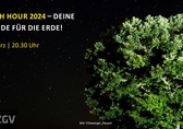 dunkle Nacht, ein beleuchteter Baum, Sternenhimmel