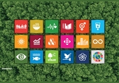 17 Ziele der Nachhaltigkeit in Form von Würfeln auf grünem Untergrund